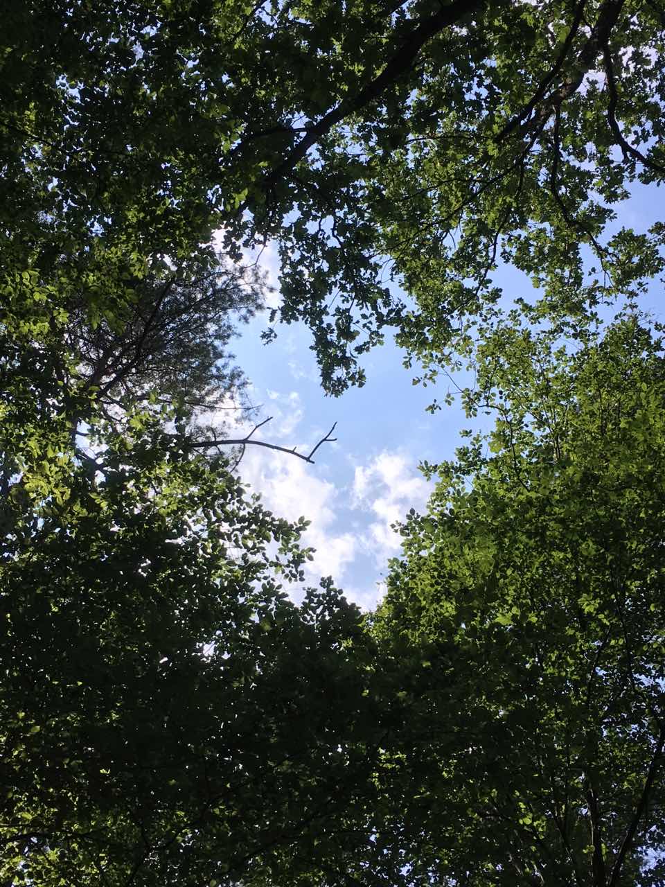 IMG 09ca9c89f41fdf8d882bc197a37d5b3e V